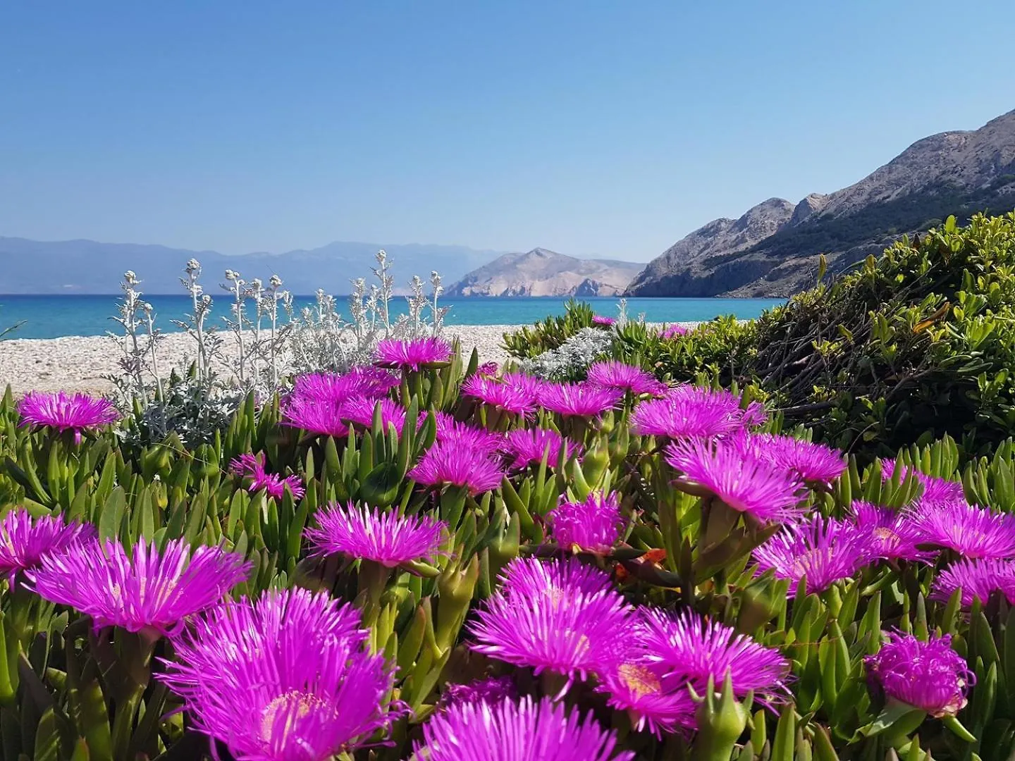 Apartment Djikic Baska  Baska (Krk)